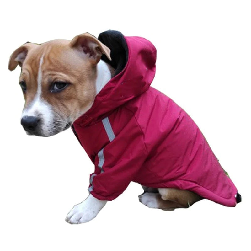 Stay Cozy and Stylish: Waterproof Warm Coat for Small Dogs and Cats – Perfect for Autumn and Winter